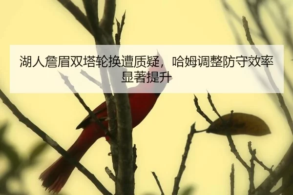 hu-ren-zhan-mei-shuang-ta-lun-huan-zao-zhi-yi-ha-mu-tiao-zheng-fang-shou-xiao-lv-xian-zhu-ti-sheng-2-212.jpg